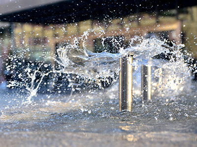 沉湖管委会企业风采