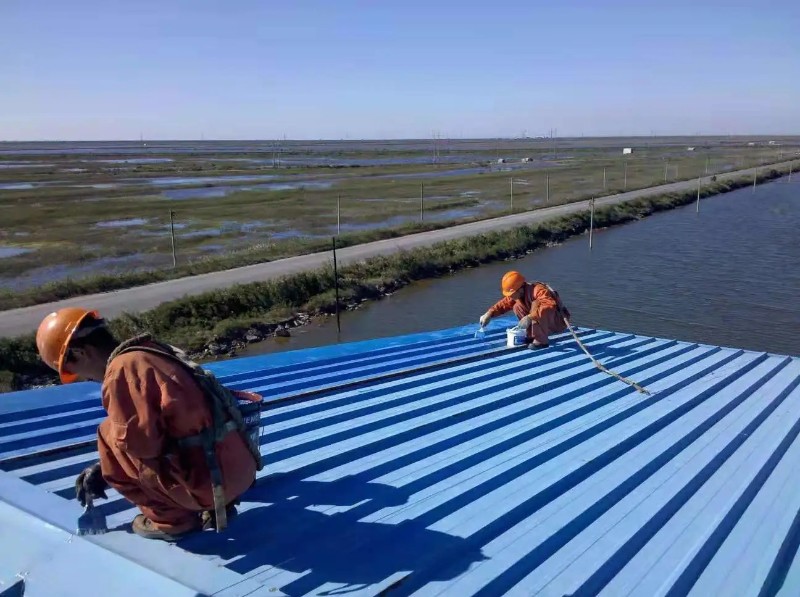 沉湖管委会钢结构屋面漏水原因